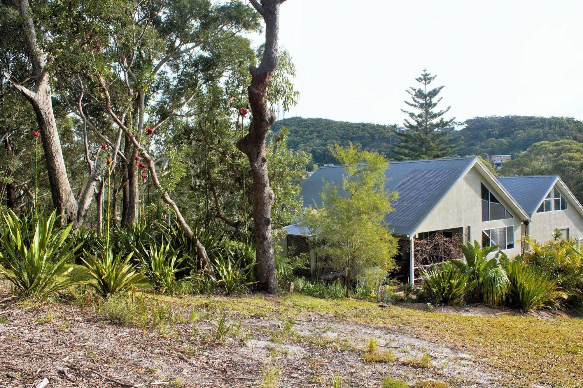 Nelson Bay Bed & Breakfast 외부 사진
