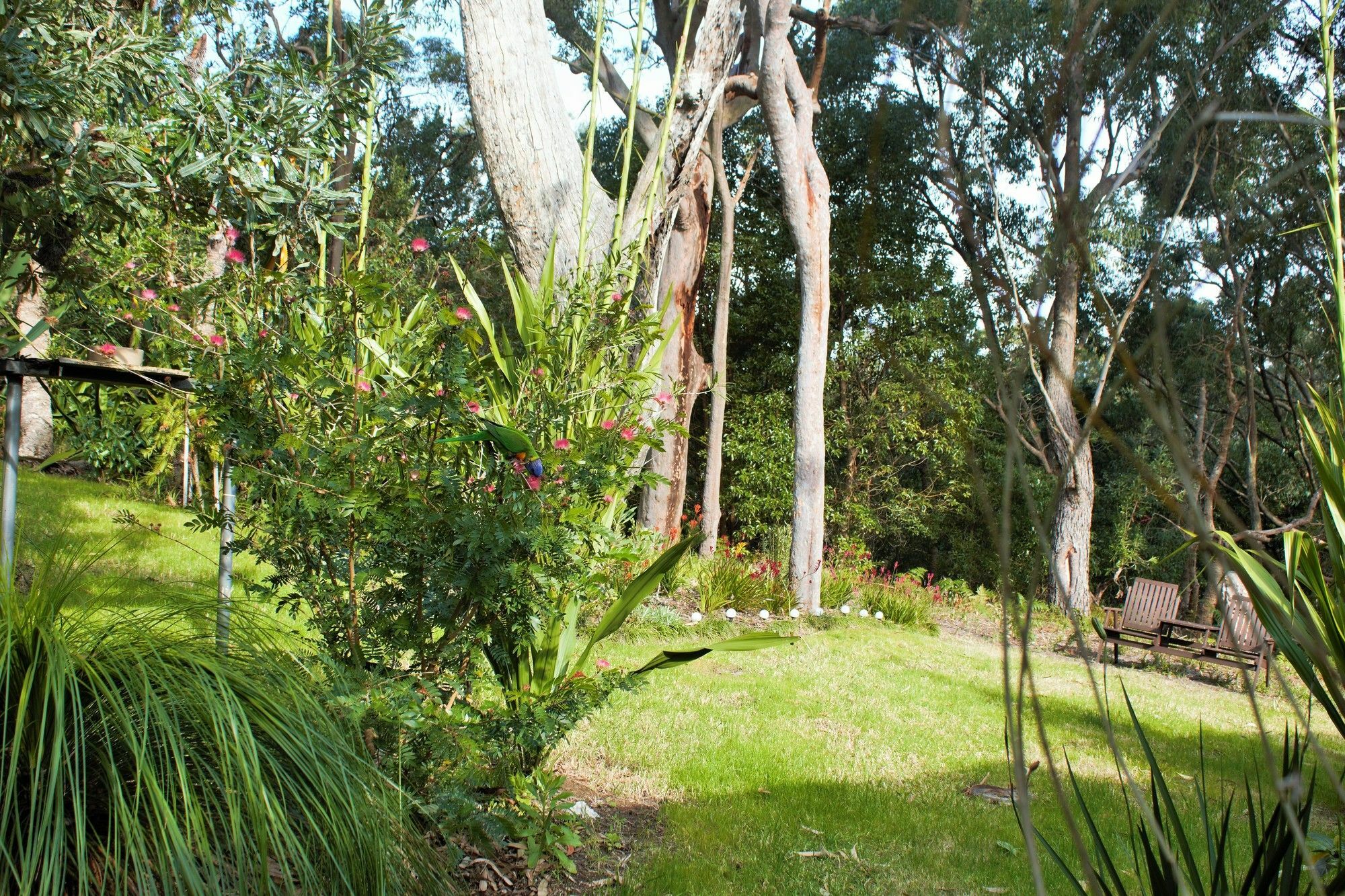 Nelson Bay Bed & Breakfast 외부 사진
